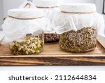 Various seed sprouts growing in glass jars, healthy vitamin rich food snack. Lucerne or Alfalfa, mung bean sprouts, broccoli sprouts seeds in glass jars. Growing Microgreens at home concept.