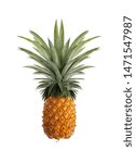Small photo of Pineapple isolated on the white background. Contains proteolytic enzymes, bromelain names, helps digest proteins from the intestines and a lot of vitamin C minerals And used in the medical industry to
