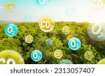 Small photo of Tree canopy against a sky background with oxygen O2 and carbon dioxide CO2 molecules. Carbon dioxide absorption and oxygen release concept. Concept of carbon dioxide emissions and its impact on nature