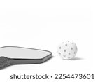 Black and White Pickleball paddle and ball on a white background with room for text.