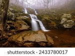 Small photo of Waterfall in misty forest. River waterfall in the autumn misty forest. Misty forest waterfall. Waterfall in mist