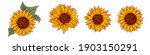 Sunflower Vector Illustration....