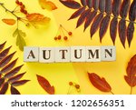 autumn background  flat lay... | Shutterstock . vector #1202656351