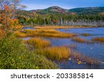 Seal Cove Pond In The Colors Of ...