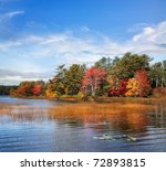 Autumn At Somes Pond  Mount...