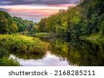 Forest pond in the evening. Calm water of forest pond. Forest pond landscape. Pond in forest