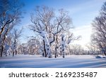 Beautiful Snow Landscape In...