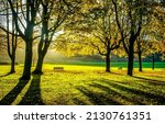Small photo of Sunlight in the autumn park. Autumn park in sunlights. Sunbeams in autumn park. Autumn park landscape