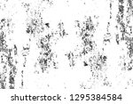 abstract monochrome background. ... | Shutterstock . vector #1295384584