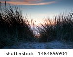 Silhouette Of Dune Grass At...