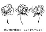 set of peony flowers drawings.... | Shutterstock .eps vector #1141974314