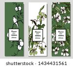 herbal illustration on label... | Shutterstock .eps vector #1434431561