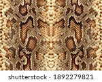 Seamless Snake Pattern  Snake...