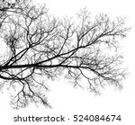 Tree Branch Silhouette On A...
