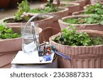 Iot project prototype that waters the plant by sensing the moisture level of the soil using sensor. Using technology to keep the plants healthy