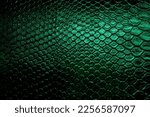 Snakeskin reptile leather pattern texture toned in green color background