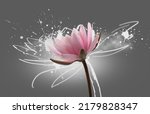 Small photo of Lotus flower on grey background. Water lily flower design close up. Waterlily close-up. Blooming pink aquatic flower on gray background, macro shot. Water lilly