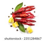 Small photo of Crayfish, Crawfish closeup. Red boiled crayfishes with herbs and lemon isolated on white background, top view Crawfishes. Fresh Lobster closeup
