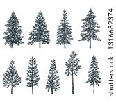 pine and spruce trees. vector... | Shutterstock .eps vector #1316682374