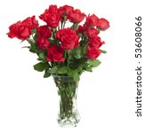 Two Dozen Red Roses Isolated On ...