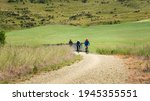 Small photo of Three people cycling the Otago Central Rail Trail towards Middlemarch, South Island, New Zealand