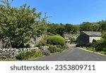 Small photo of Yorkshire Dales hamlet, with dry stone walls, cottages, wild plants, trees, and a blue sky in, Starbotton, UK