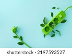 Green electric power socket with fresh leaves top view. Renewable and saving energy, eco or green power consumption concept.