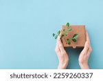 Woman hands holding cardbox from natural recyclable materials with green leaves sprout on blue table top view. Responsible consumption, eco friendly packaging, zero waste concept.