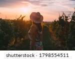 Woman in vineyard in sunset adult woman in dress and hat walking through vineyard in sunset in summer in Vrsac vineyards in Serbia