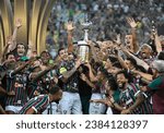 Small photo of Rio de Janeiro-Brazil,04-11-2023 Fluminense celebrates the title of Champion of the Copa Libertadores da America. Match between Fluminense and Boca Junior at the Maracana stadium