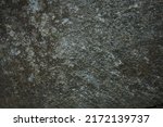 Small photo of close up of green and grey textured rock in woods forest or park natural setting green grey tinge of hard rock in northern Ontario horizontal format background backdrop or wallapepr room for type