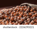 Small photo of Hazelnuts, filbert on old wooden table. heap or stack of hazel nuts. Hazelnut background, healty food.