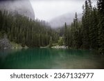 A beautiful emerald green mountain lake in the Canadian Rockies, Alberta, tourism Canada. Rainy day, fog, clouds passing through the trees. Clear calm water, wet weather. Stony shore of Mirror Lake. 