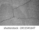 Small photo of Big winding ramified crack on an old concrete wall. Crack divides the wall into four parts. Close-up. Selective focus. Copy space.