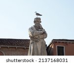 Seagull Sits On The Head Of The ...