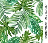 exotic leaves  rainforest.... | Shutterstock .eps vector #269460287