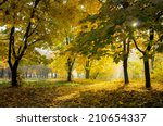 Colorful Autumn Landscape With...