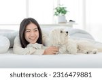 Small photo of Asian young happy cheerful female owner laying lying down smiling hugging cuddling embracing best friend companion dog white long hair mutt shih tzu under blanket on bed together in bedroom at home.