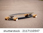 Longboard pintail sunny day summer park blurred background