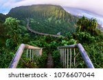Stairway To Heaven Oahu  Hawaii