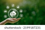 Small photo of Reduce CO2 emission concept in the hand with icons, global warming for environmental.Net zero and carbon neutral concept.