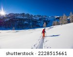 Carnic alps after a big snowfall. Udine province, Friuli-Venezia Giulia region, Italy
