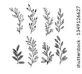set floral hand drawn vector | Shutterstock .eps vector #1349126627