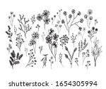big set of hand drawn of floral ... | Shutterstock .eps vector #1654305994