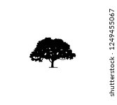 inspirational logo design   tree | Shutterstock .eps vector #1249455067