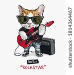 Cute Cat Rock Star Playing...