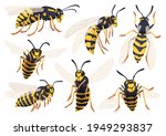 Wasp Vector Cartoon Icon Set ....