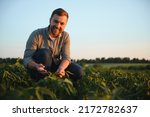 Small photo of Agronomist inspecting soya bean crops growing in the farm field. Agriculture production concept. young agronomist examines soybean crop on field in summer. Farmer on soybean field
