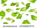 Levitation of green lettuce leaves