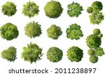 vector tree top view isolated... | Shutterstock .eps vector #2011238897